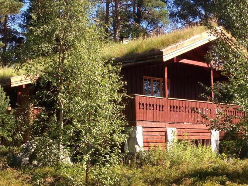 Batsto Camping Elga Exterior photo